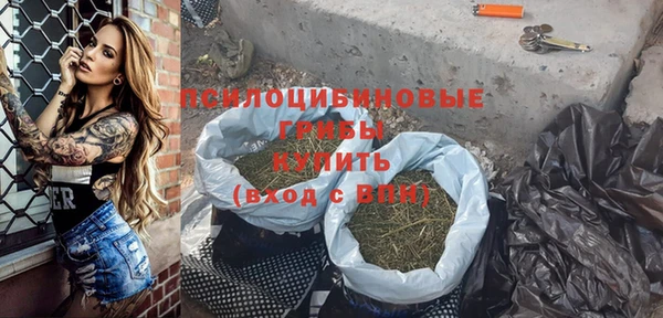 ПСИЛОЦИБИНОВЫЕ ГРИБЫ Алексеевка
