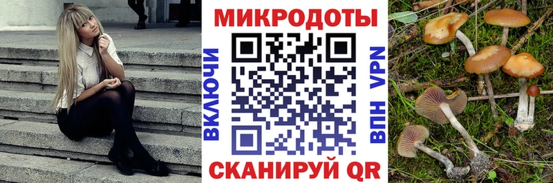 Галлюциногенные грибы Magic Shrooms  что такое   kraken ССЫЛКА  Коркино 